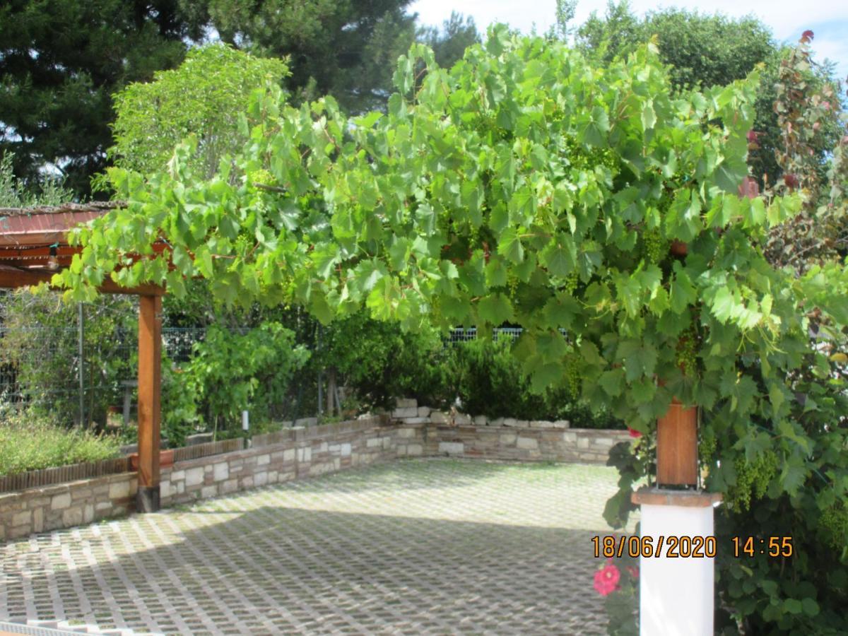 B&B Capo Le Vigne Sirolo Eksteriør billede