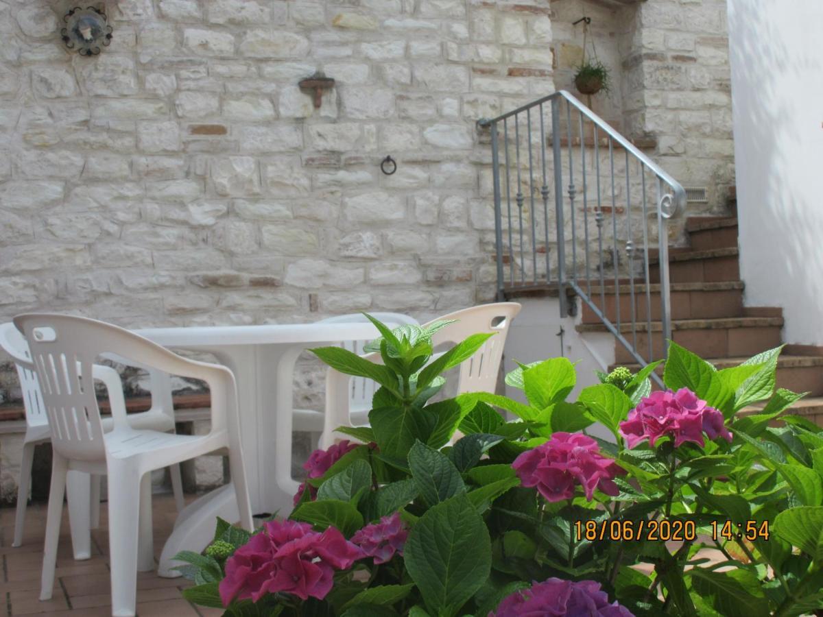 B&B Capo Le Vigne Sirolo Eksteriør billede